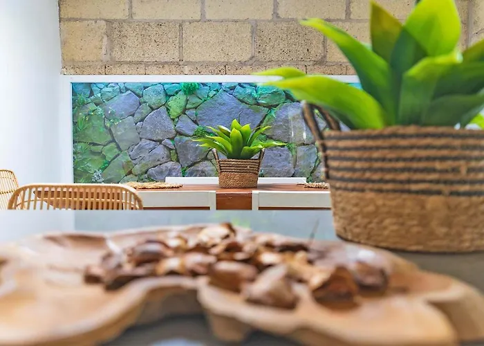 Tenerife Deluxe アデヘ